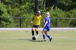 IMG_0015 (cam 0)