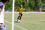 IMG_0026 (cam 0)