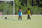 IMG_0040 (cam 0)