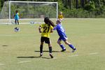 IMG_0046 (cam 0)