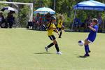 IMG_0067 (cam 0)
