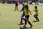 IMG_0078 (cam 0)