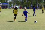 IMG_0081 (cam 0)