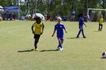 IMG_0082 (cam 0)