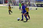 IMG_0098 (cam 0)