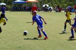 IMG_0107 (cam 0)