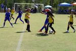 IMG_0112 (cam 0)