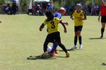 IMG_0113 (cam 0)