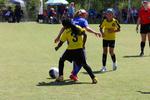 IMG_0114 (cam 0)