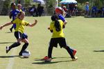 IMG_0115 (cam 0)