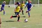 IMG_0118 (cam 0)