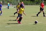IMG_0121 (cam 0)