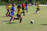 IMG_0123 (cam 0)