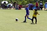 IMG_0136 (cam 0)