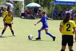 IMG_0139 (cam 0)