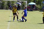 IMG_0142 (cam 0)