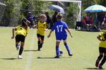 IMG_0143 (cam 0)