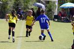 IMG_0144 (cam 0)