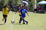 IMG_0146 (cam 0)