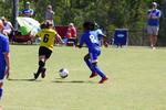IMG_0147 (cam 0)