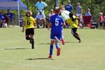IMG_0180 (cam 0)