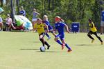 IMG_0185 (cam 0)