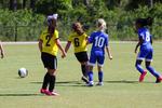 IMG_0201 (cam 0)