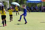 IMG_0207 (cam 0)