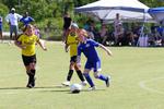 IMG_0209 (cam 0)