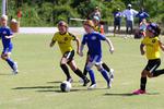 IMG_0213 (cam 0)