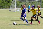 IMG_0219 (cam 0)