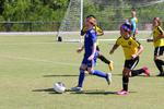 IMG_0220 (cam 0)
