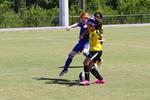 IMG_0223 (cam 0)