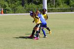 IMG_0225 (cam 0)