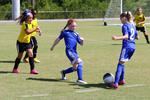 IMG_0231 (cam 0)