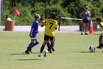 IMG_0239 (cam 0)