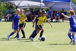 IMG_0376 (cam 0)