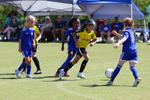 IMG_0377 (cam 0)