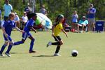 IMG_0378 (cam 0)