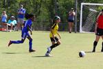 IMG_0380 (cam 0)