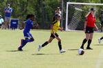 IMG_0381 (cam 0)