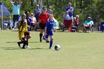 IMG_0395 (cam 0)