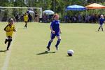 IMG_0406 (cam 0)