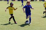 IMG_0413 (cam 0)