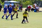 IMG_0430 (cam 0)