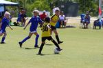 IMG_0433 (cam 0)