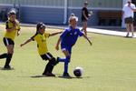IMG_0436 (cam 0)