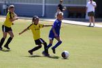 IMG_0437 (cam 0)