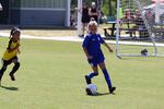 IMG_0440 (cam 0)