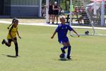 IMG_0441 (cam 0)